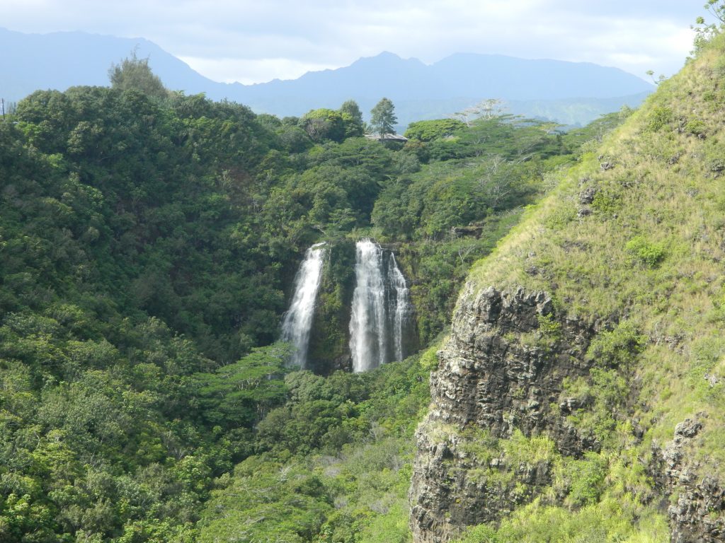 'Opaeka'a Falls in Kauai